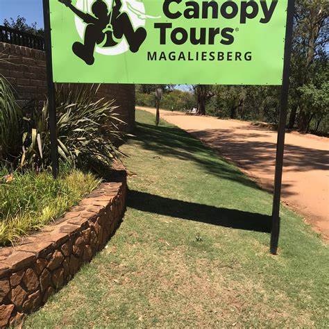 Magaliesberg Canopy Tours - Image 4